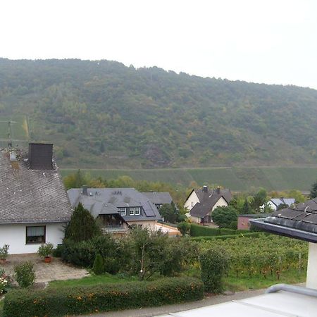 Pension Kroth An Der Mosel 브리에델 외부 사진