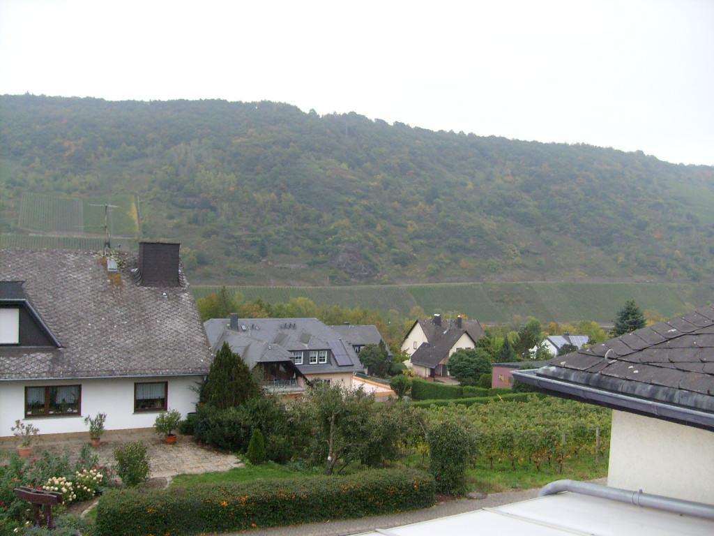 Pension Kroth An Der Mosel 브리에델 외부 사진